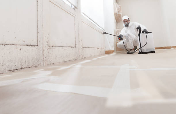 24/7 Emergency Attic Mold Remediation experts in Rockton, PA